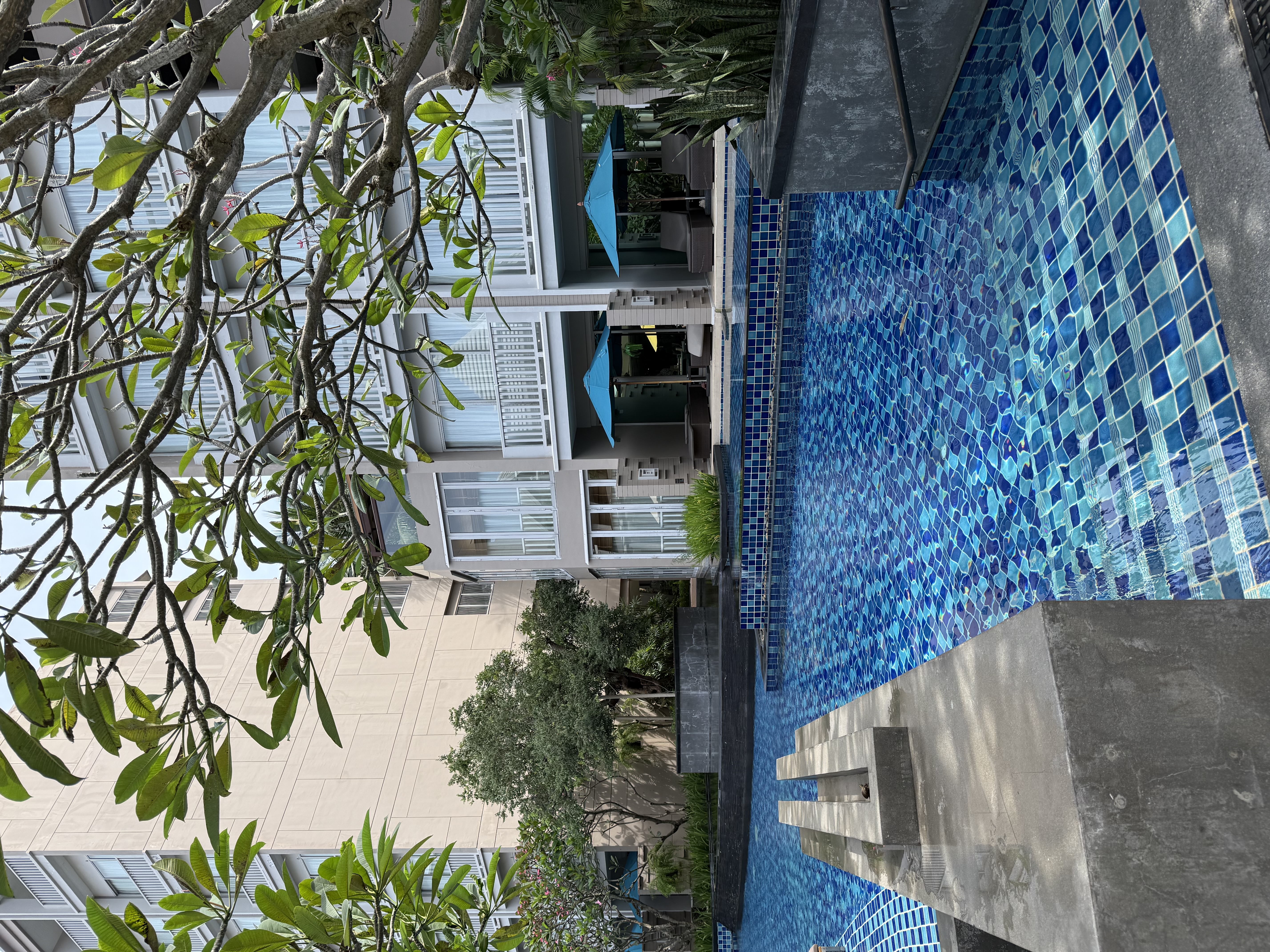 IMG_3046.jpeg