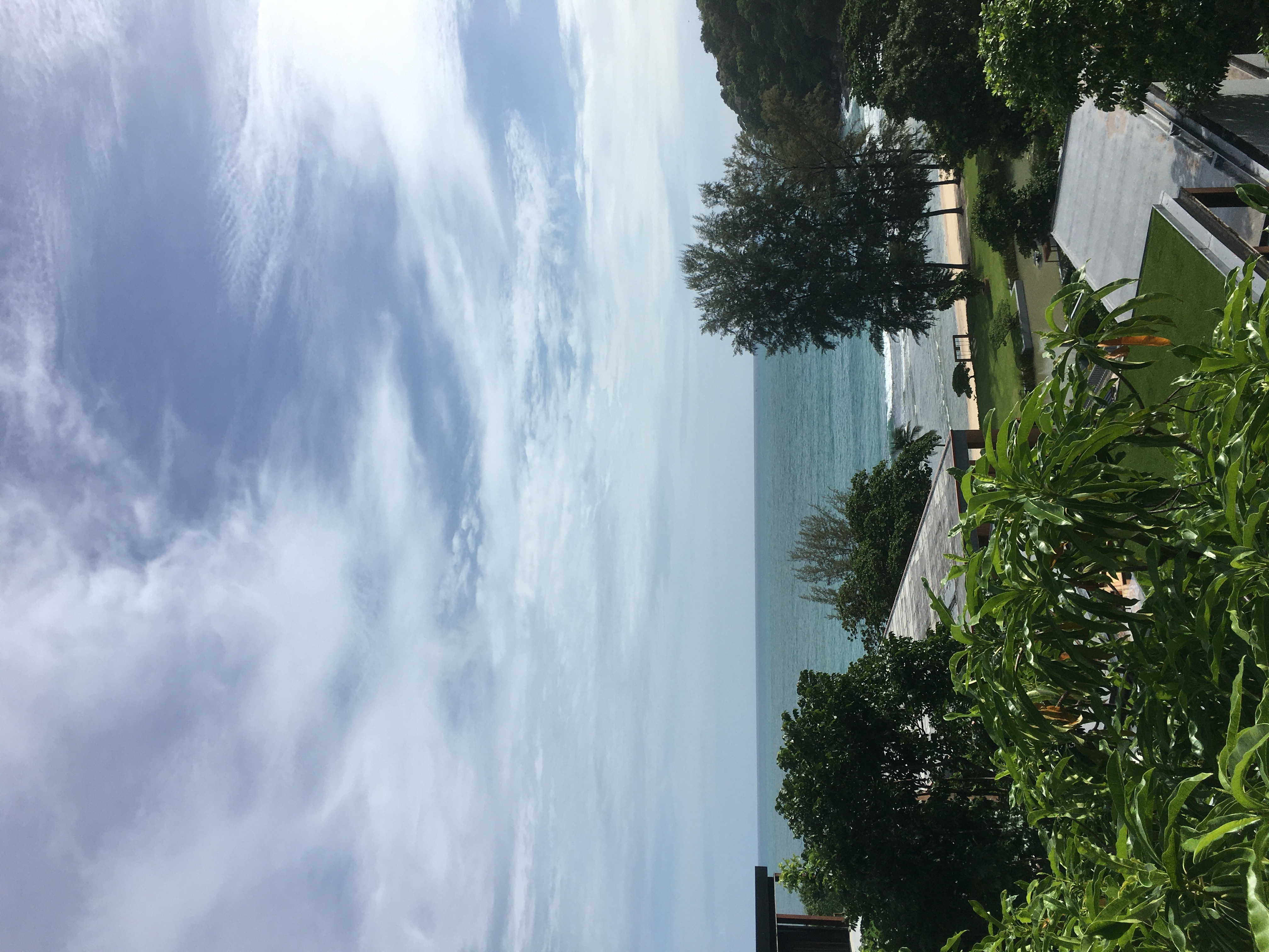 IMG_0264.jpeg