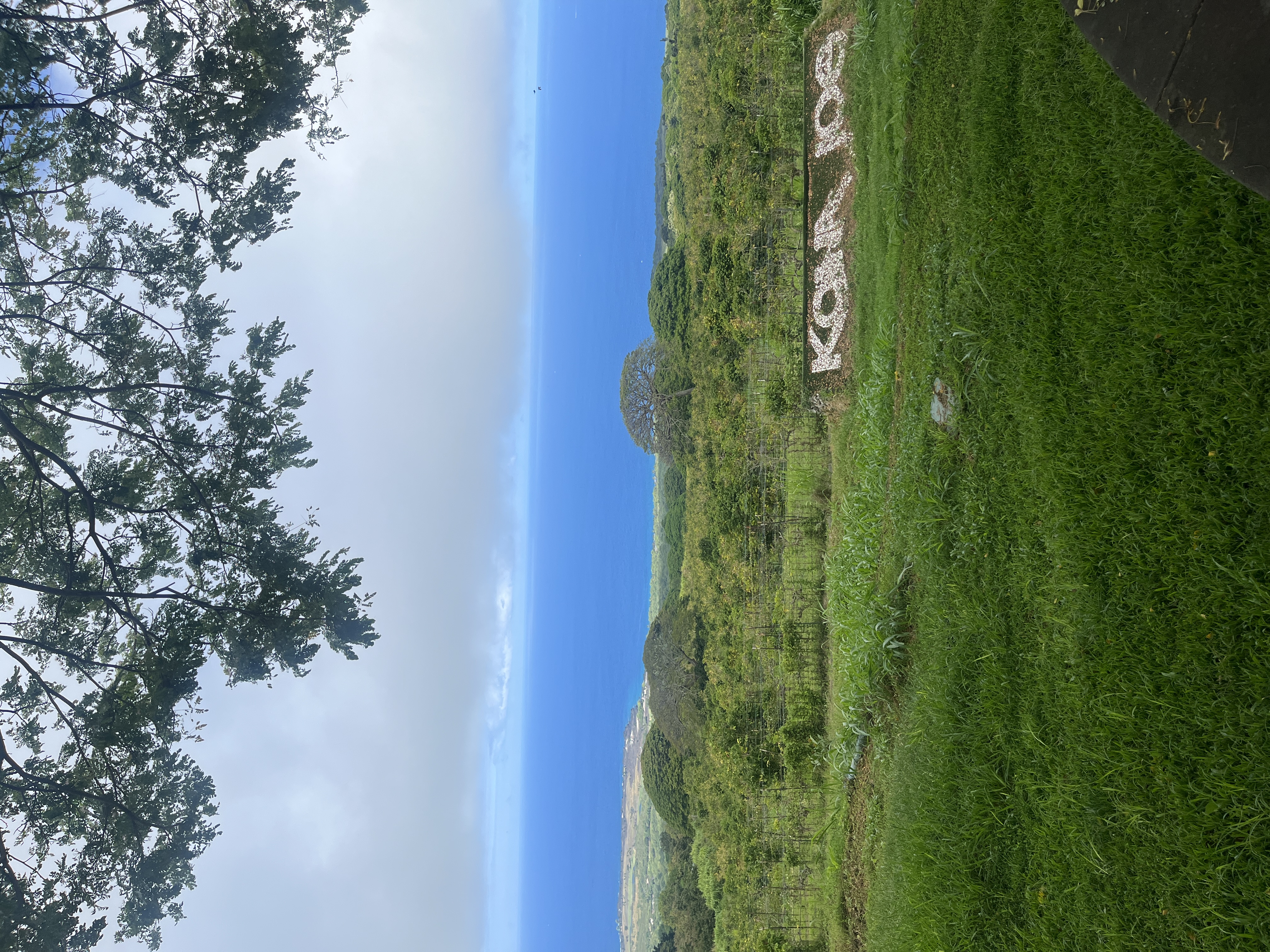 IMG_0009.jpeg