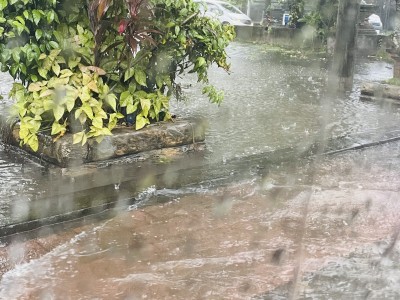 하이허니문을 통해 신행 다녀왔어요 :-)