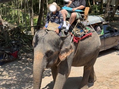 푸켓 허니문 패키지 (박소희 실장님)